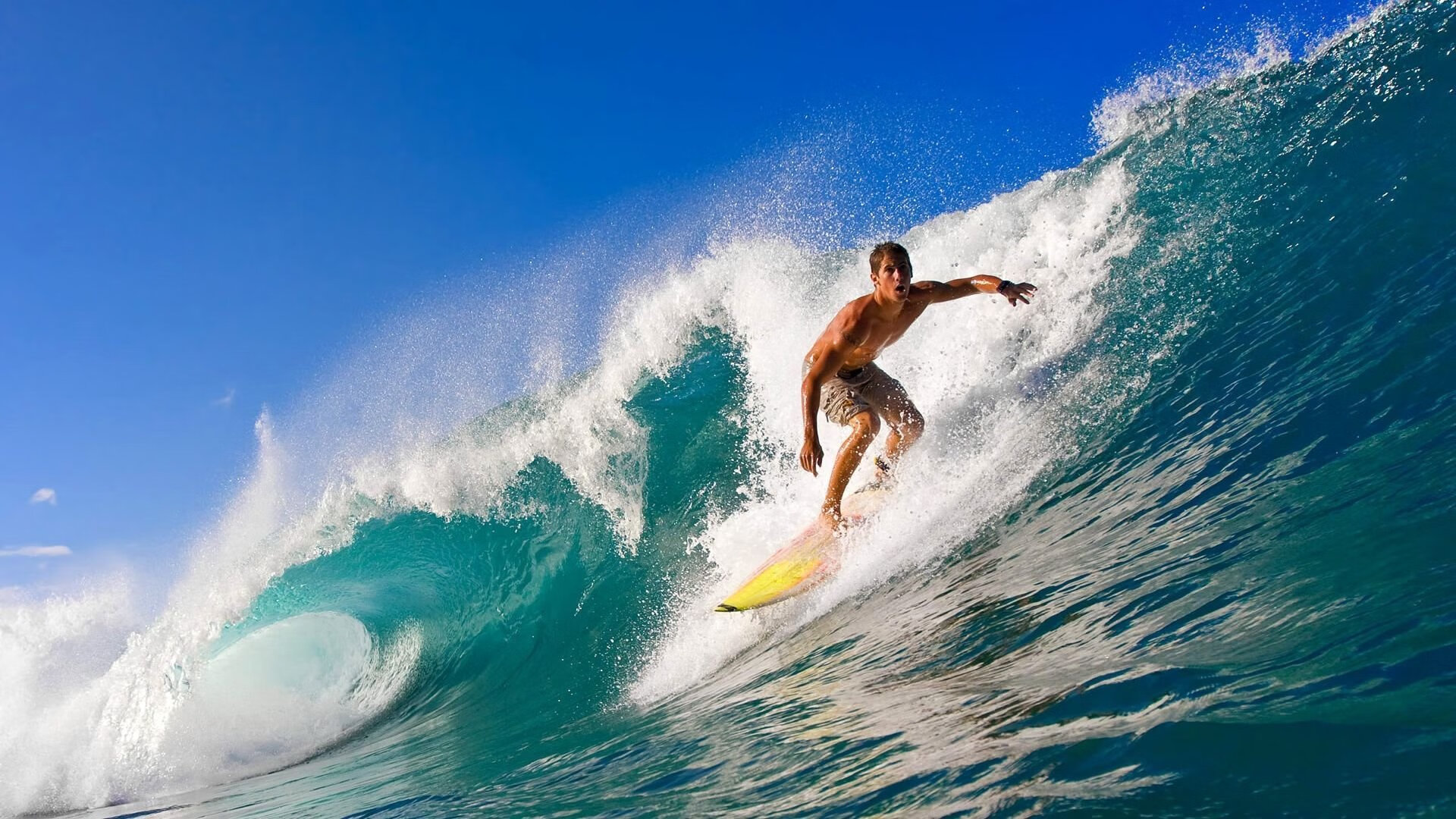 ATP总决赛的碾压逻辑，兹维列夫状态火热背后的年终总决赛新秩序